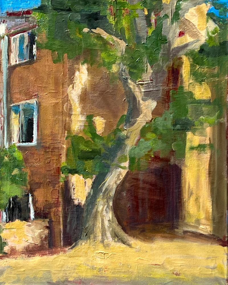 London Plane 